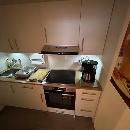 Apartment Ferienglueck Geyersberg