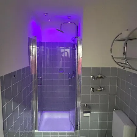 Apartment Ferienglueck Geyersberg *